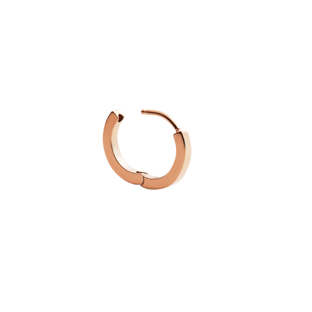 Daniel Wellington Hoop earrings