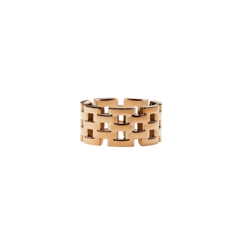 Anello Daniel Wellington Link