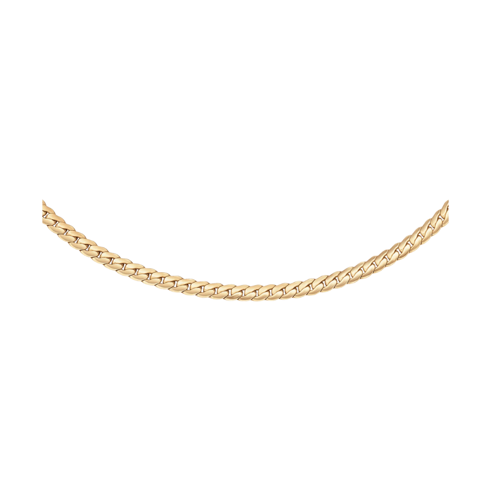 Collana Daniel Wellington Flat Chain